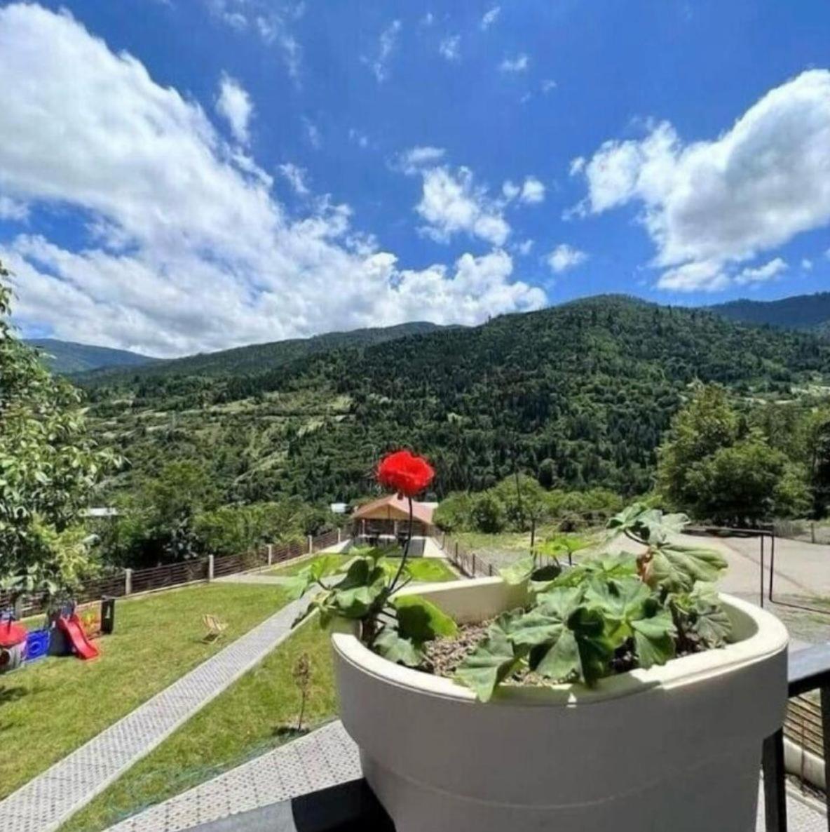 Holiday Borjomi Qvibisi Exterior foto