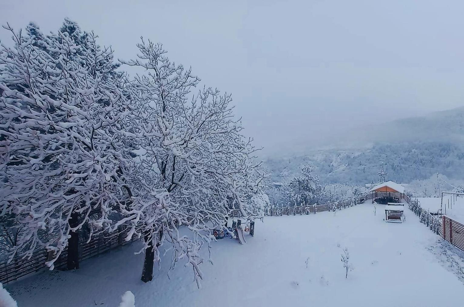 Holiday Borjomi Qvibisi Exterior foto